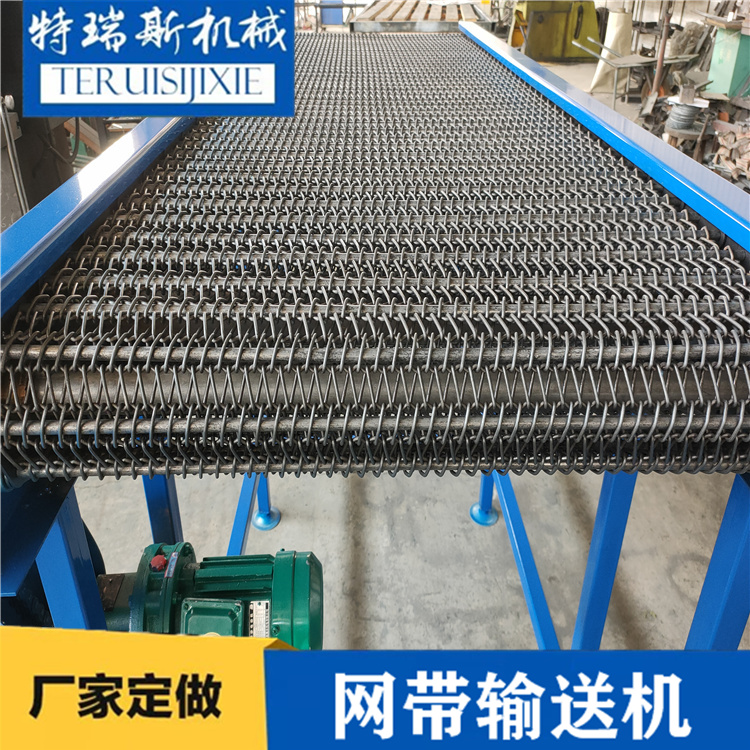 网带输送机 风干降温可用 厂家直营 网链输送带 特瑞斯