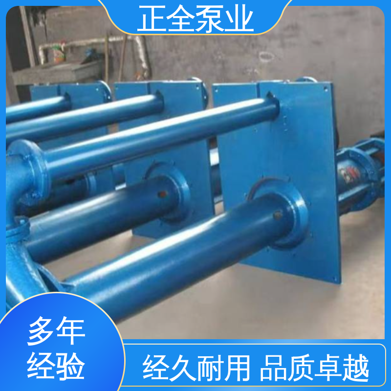 正全泵业 矿洗煤泥处理 用于矿山 压滤机入料泵 厂家定制