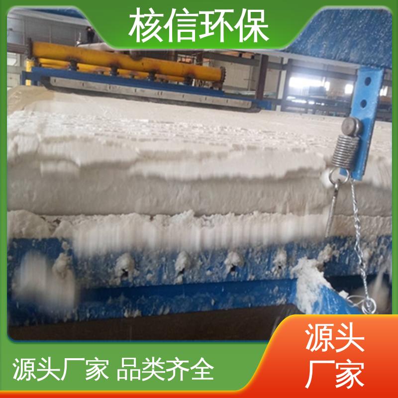 核信环保 支持定制 水平真空带式过滤机 运行稳定 应用广泛