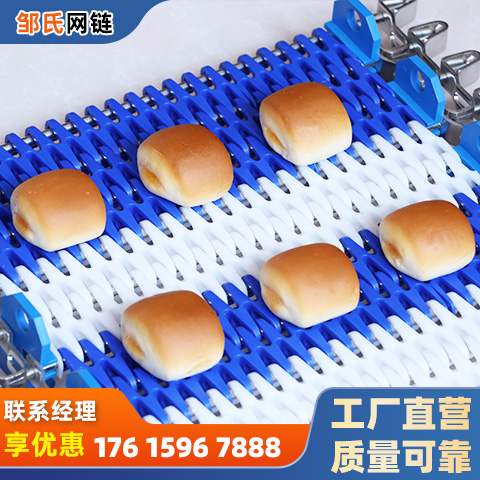 塑料链板输送带 耐高温pp食品清洗流水线 洗碗机定制PVC挡板传送带