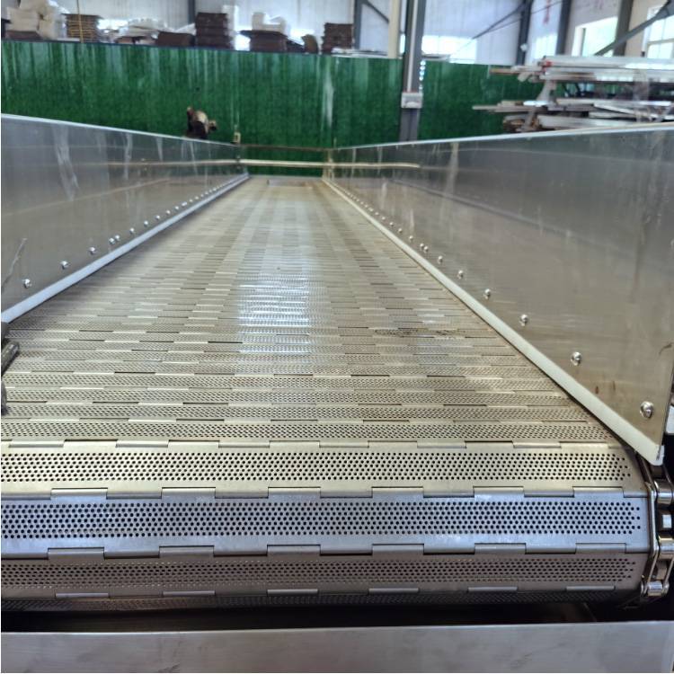 链板式定量给料机 轻型链板输送带 钢链板输送设备