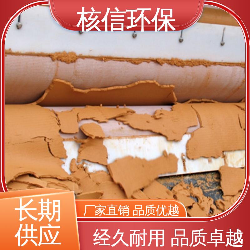 矿山真空过滤机 品质卓越 证件齐全 处理量大 核信环保