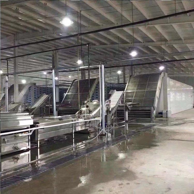 脱水蔬菜网带式烘干机 丹参中药材履带式烘干设备 木瓜丝果蔬烘干线