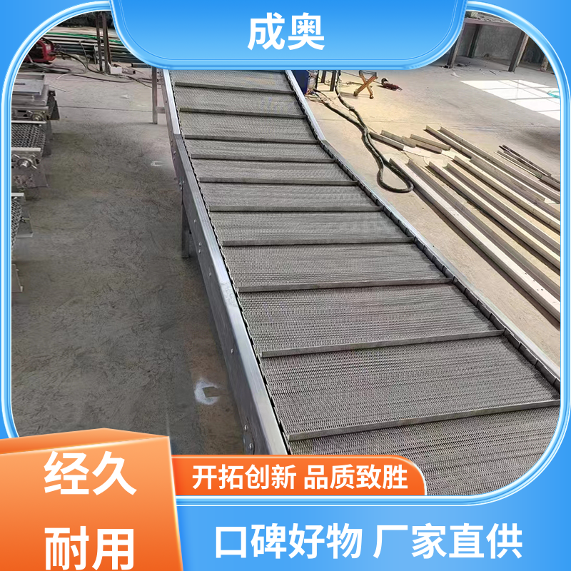 双链式 伸缩式链板输送机 食品罐头 品质致胜 口碑好物 成奥机械