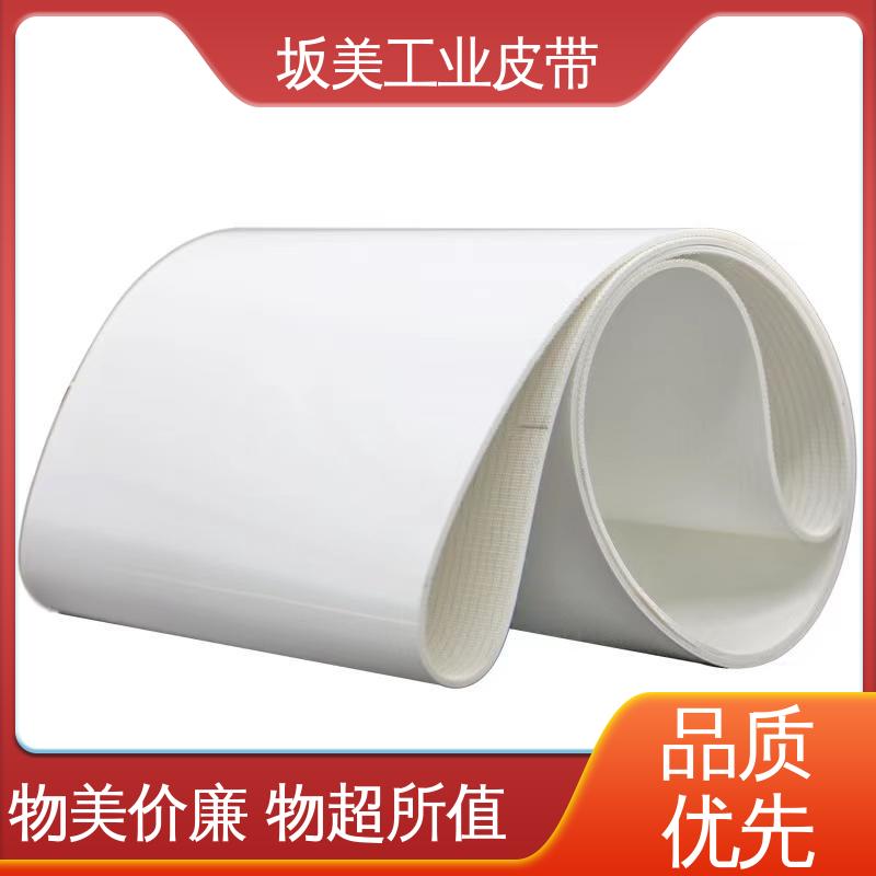 PU环形裙边输送带 轻型工业传输皮带 品类齐全 防滑 坂美