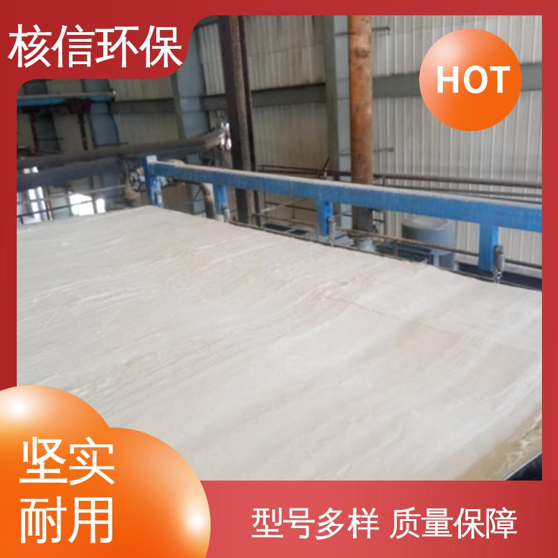 真空式过滤机 品质保证 运行稳定 应用广泛 核信环保