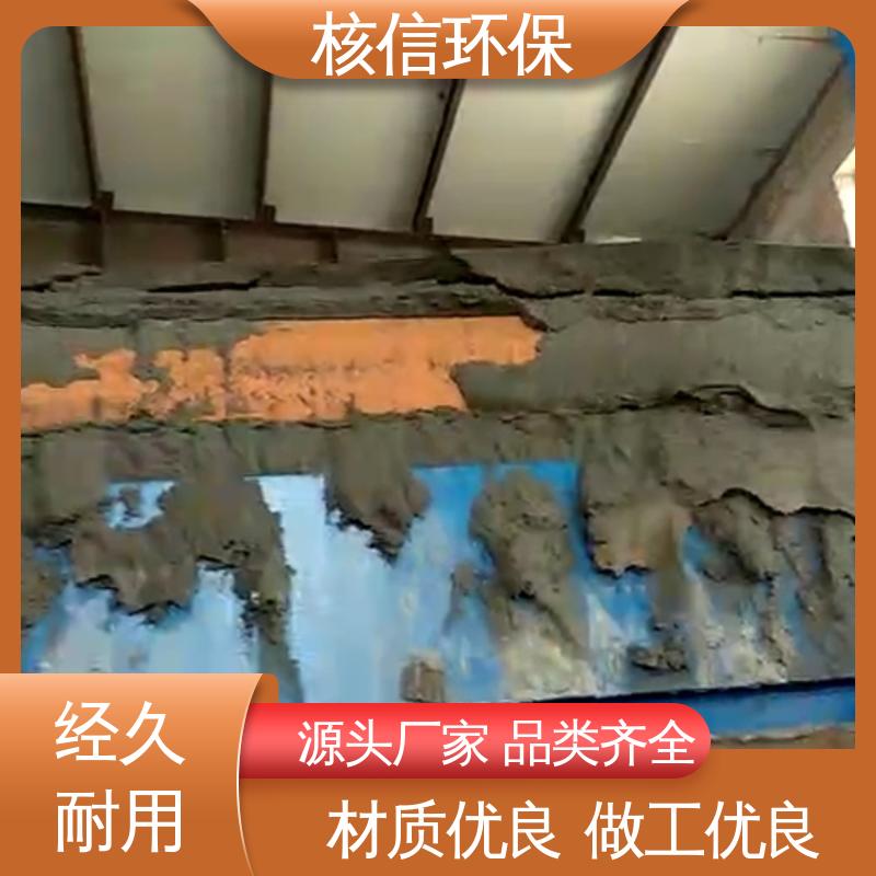 核信环保 物美价廉 规格齐全 矿山真空过滤机 运行稳定