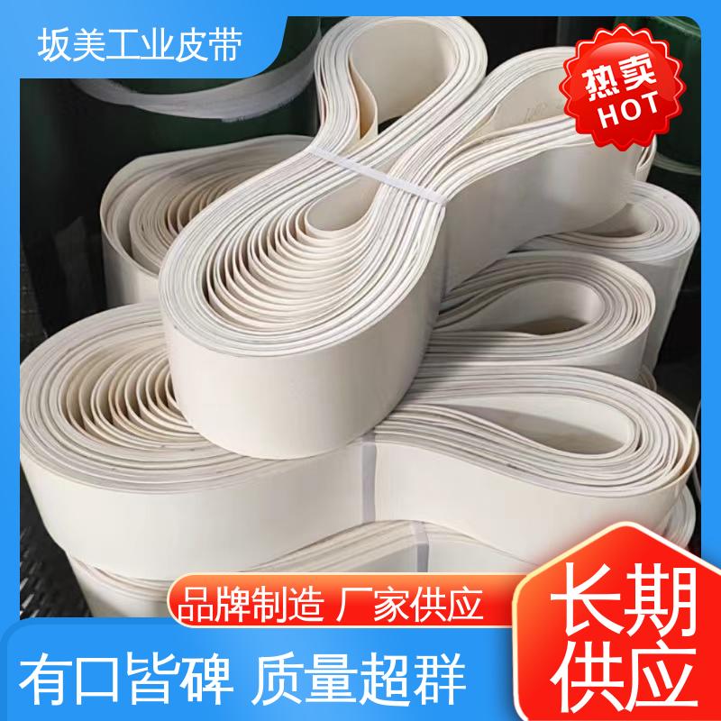 坂美 轻型工业传输皮带 品类齐全 PU环形裙边输送带