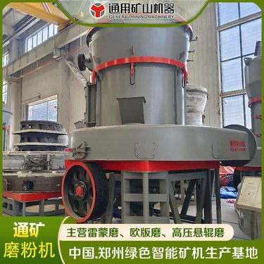 工业研磨设备 350目欧版雷蒙机 大型MTW1720磨粉机 通用矿机