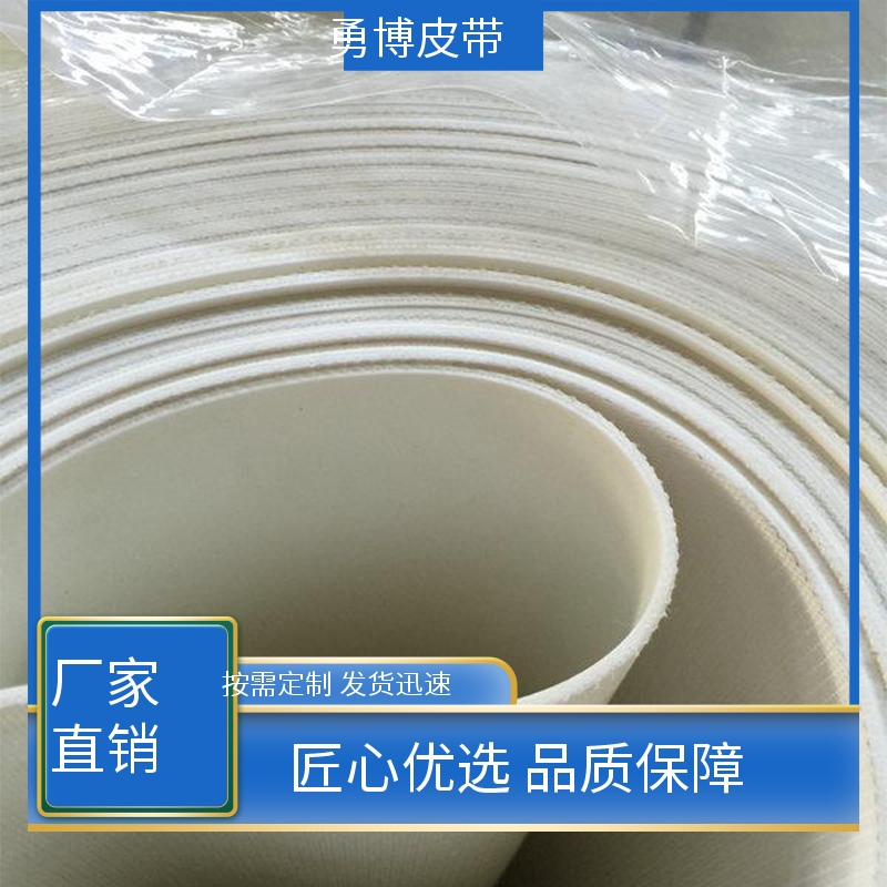勇博 膨化油炸食品 PU输送带 经久耐用 输送流水线