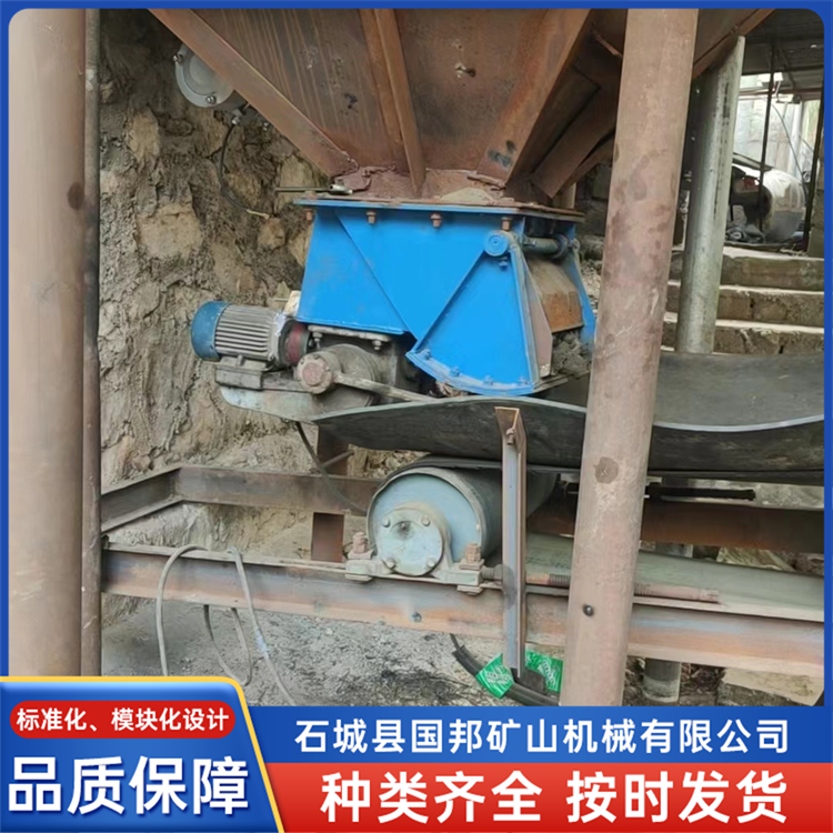 矿用摆式给矿机 冶金煤矿选矿建材化工煤炭喂料机 国邦