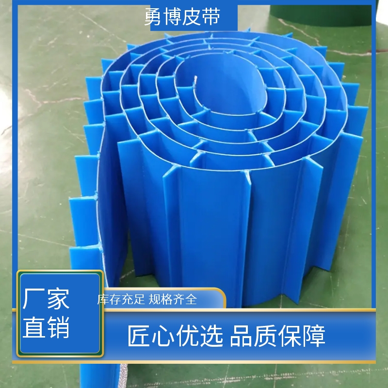 勇博 膨化油炸食品 pu食品输送带 经久耐用 输送流水线