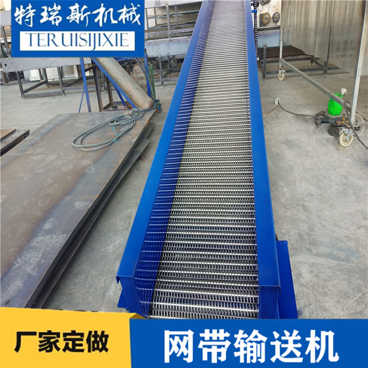 退火炉食品风干不锈钢网带输送机 定制耐酸碱速冻线输送设备