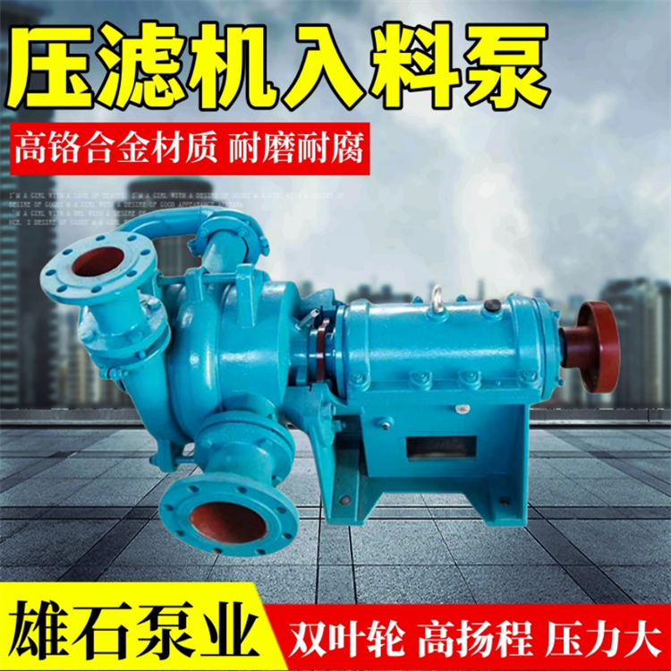压滤机入料泵洗煤厂50SYA浮选洗煤泥浆泵高铬合金洗沙厂进料泵