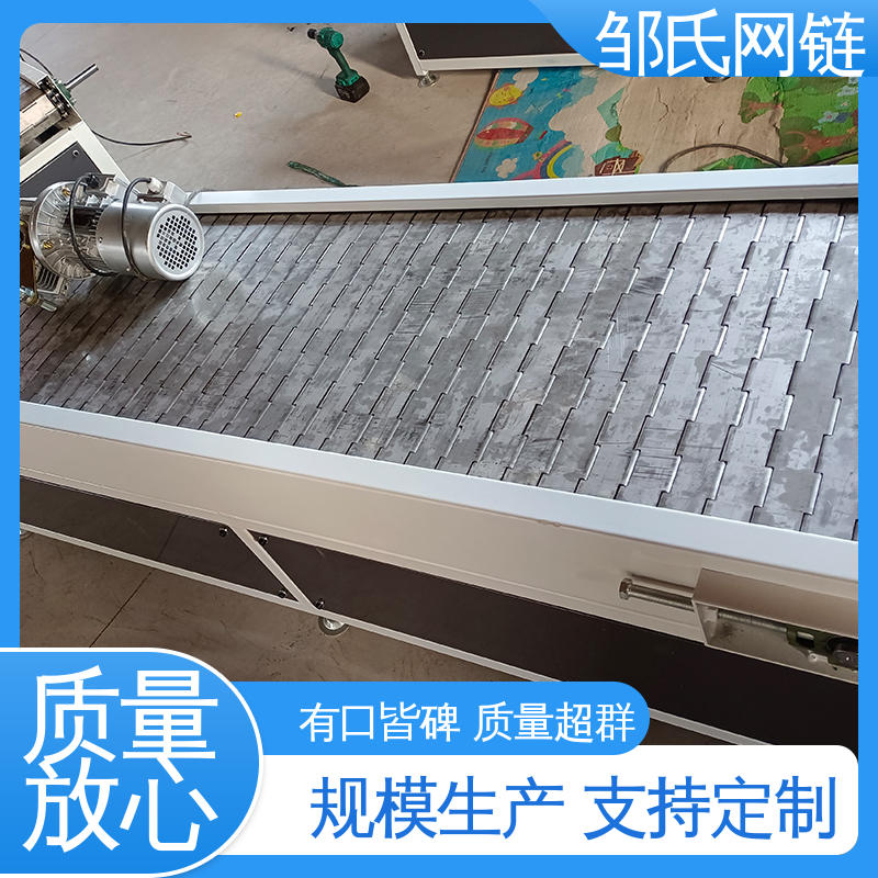 链板输送机结构 工业矿石加厚板式给料机 非标定制 邹氏网链