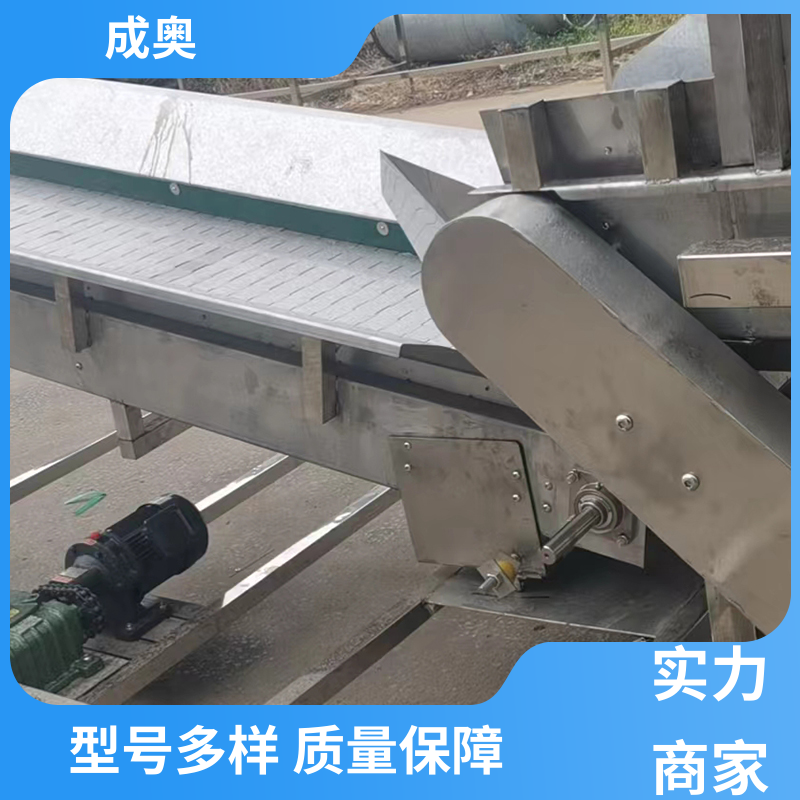 单链式 链条输送机 饮料品 品质致胜 口碑好物 成奥机械