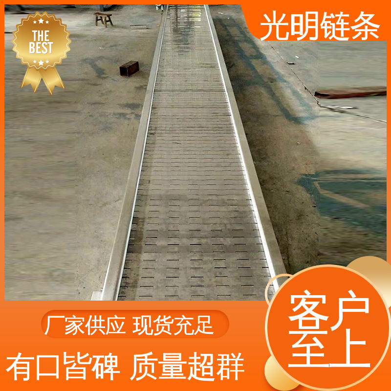 光明 水平链板输送机 耐高温耐腐蚀 工业矿石加厚板式给料机