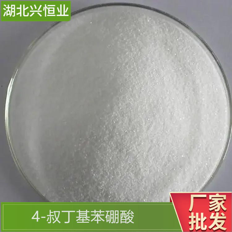 CAS号：123324-71-0 4-叔丁基苯硼酸 用于中间体 兴恒业科技