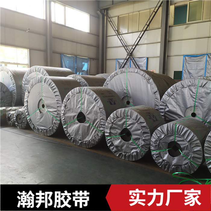 PVG整芯阻燃输送带 挡边耐磨工业皮带 600S传送带 瀚邦