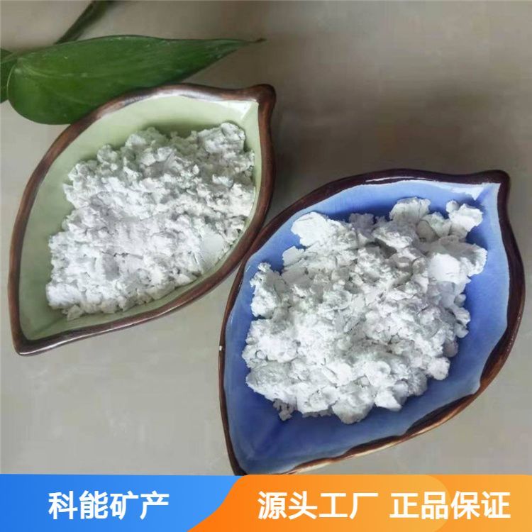 高白度抛光蜡用硅藻土 工业保温材料填料 污水过滤材料 悬浮性能好