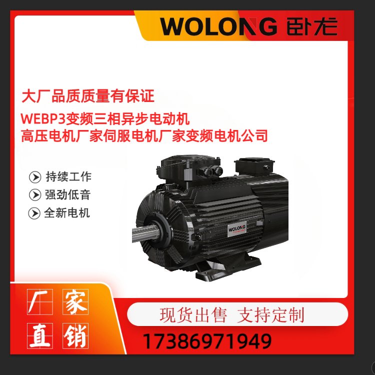 WEBP3变频三相异步电动机,高压电机厂家伺服电机变频电机公司