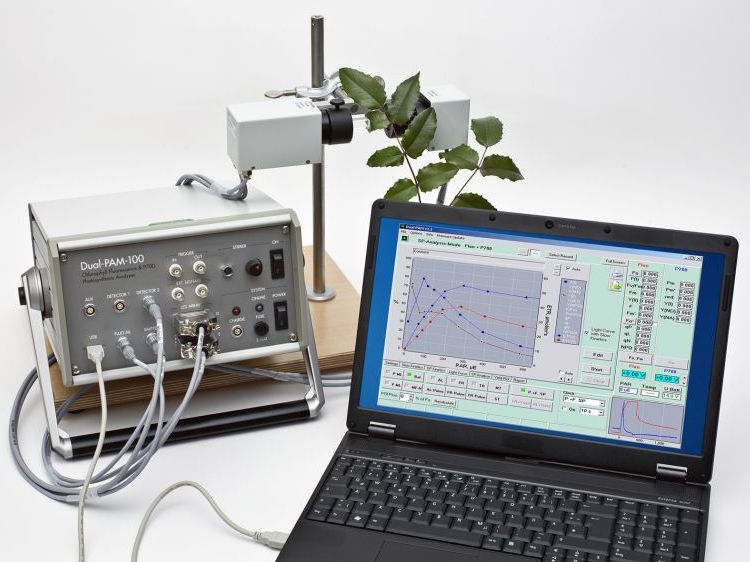 双通道调制叶绿素荧光仪——DUAL-PAM-100 曲线测量