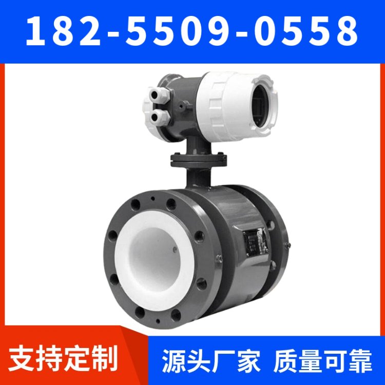 法兰安装电磁流量计生产厂家天康天仪DN10/15/20螺纹固定