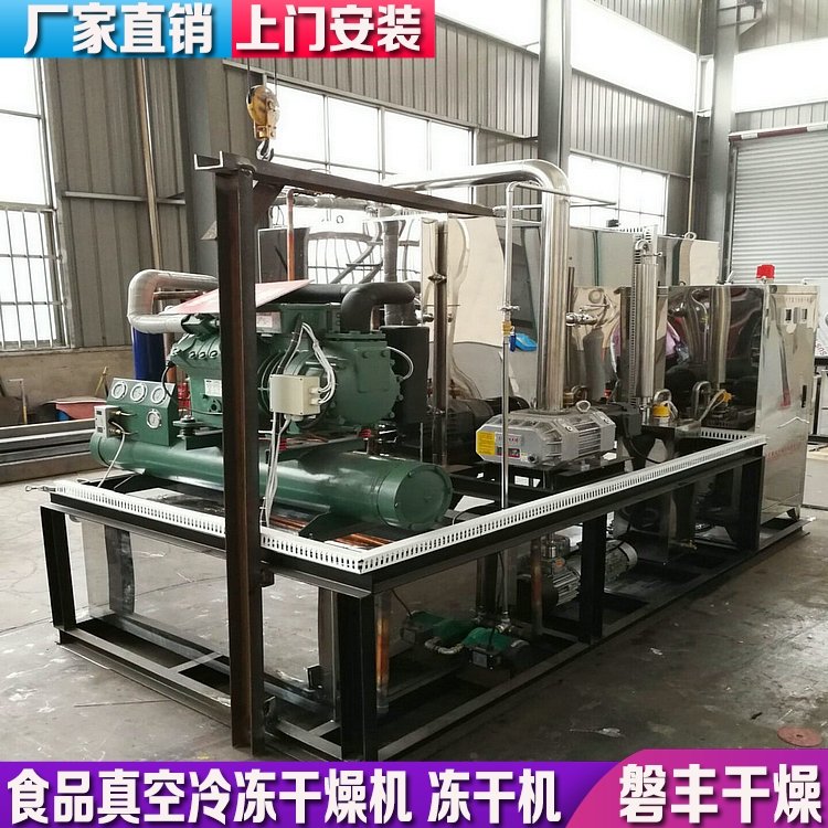 磐丰 脱水蔬菜冻干设备 水果果蔬冻干机 大型低温真空冷冻干燥机