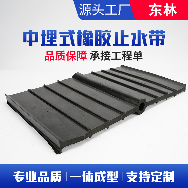 橡胶止水带 中埋式背贴式 隧道水厂支持定制 东林