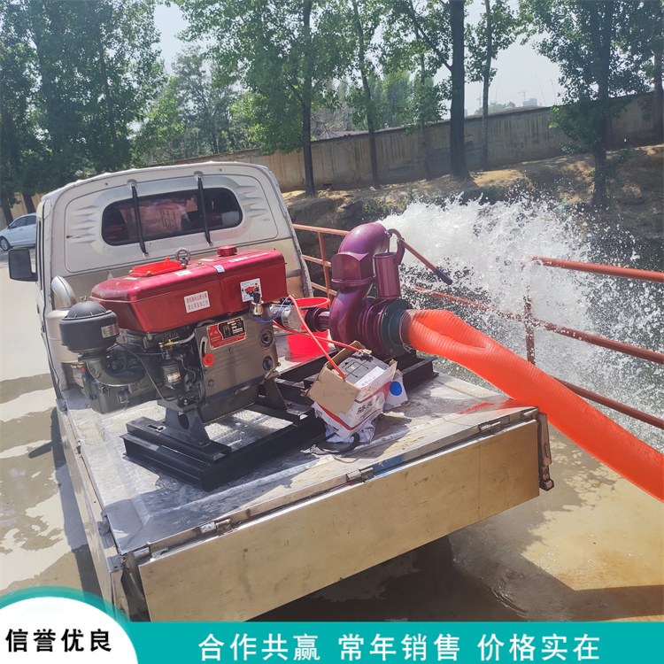 晨德 6寸供水排水抽水泵 立式农田灌溉混流泵 浇地用喷灌泵