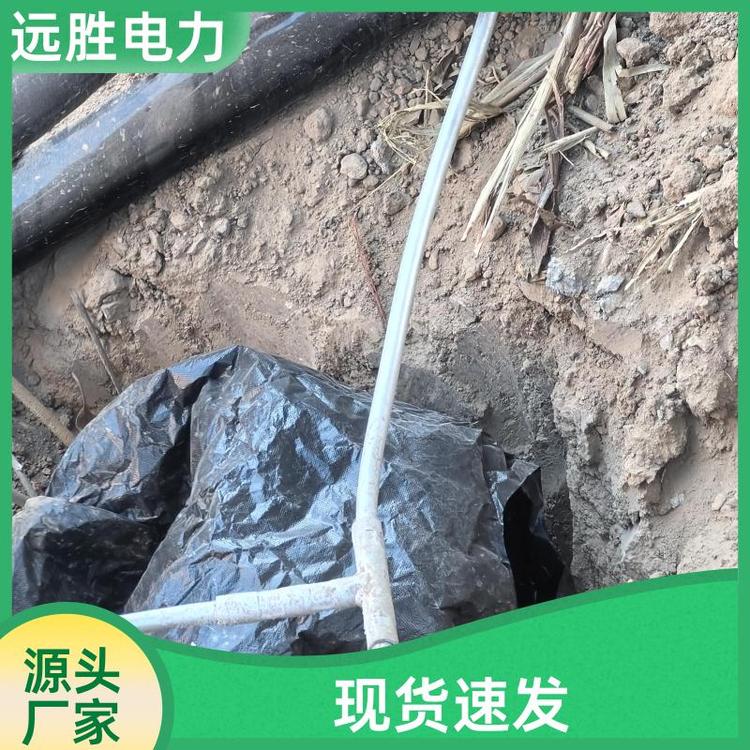 远胜电力 光伏发电风电 稀土铜铝合金 接地装置 高导环保 定做