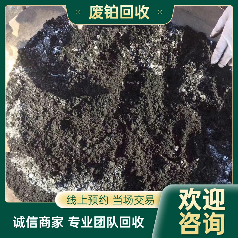 通 州废旧铂金回收 铂铑丝 海绵铂 诚信值得信赖 全天候服务