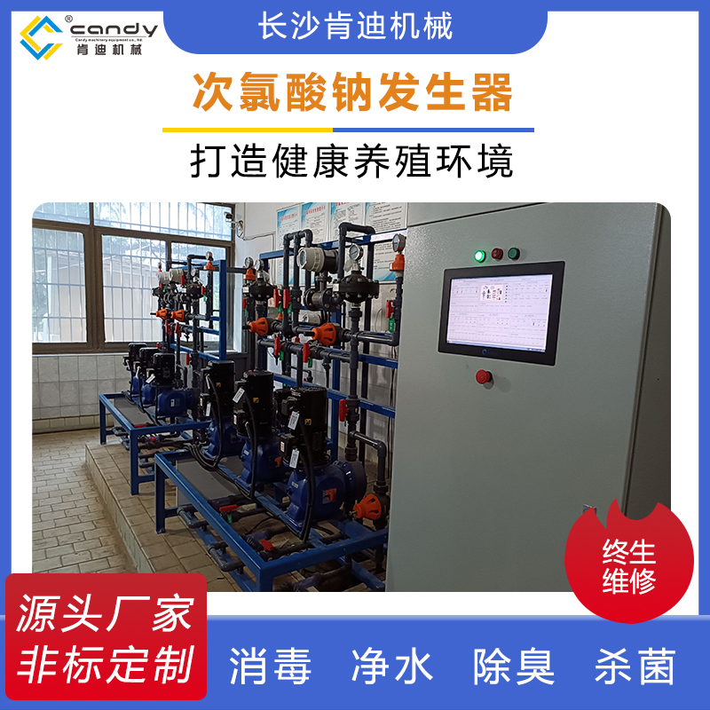 肯迪 养殖场污水消毒处理设备 次氯酸钠发生器除臭系统 水杀菌设备