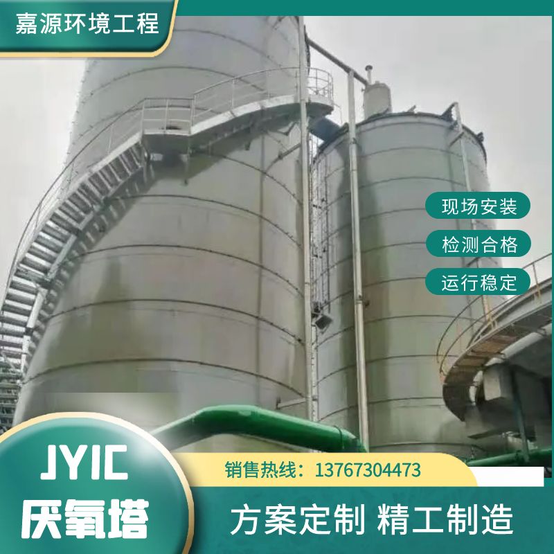嘉源环境JYIC厌氧塔 高浓度废水处理设备 生产安装调试一站式服务