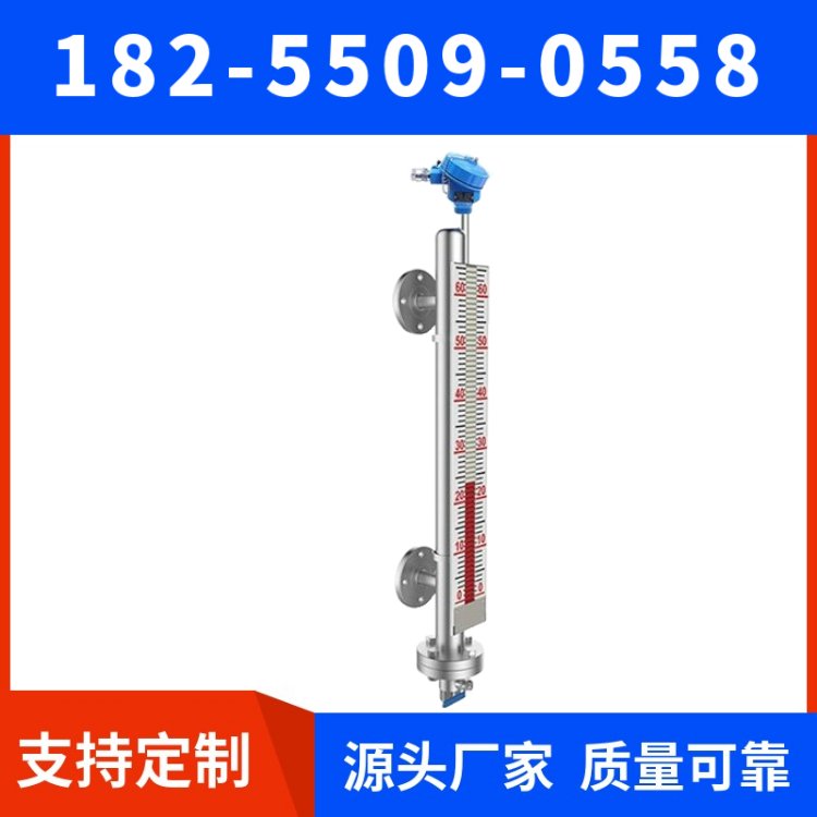 天康天仪带远传磁翻柱液位计生产厂家测量盐酸罐体氧化钠专用