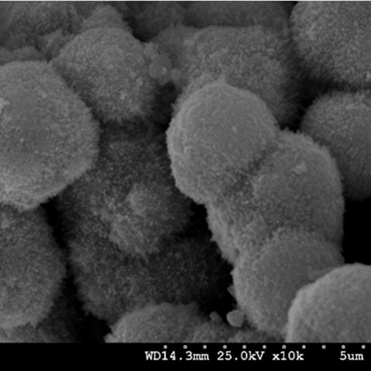 三氧化钨（WO3）微球