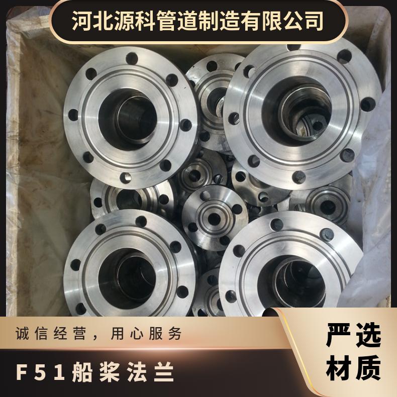 2205平板法兰A182 F51紧凑型盲板挪威标准高压锻件