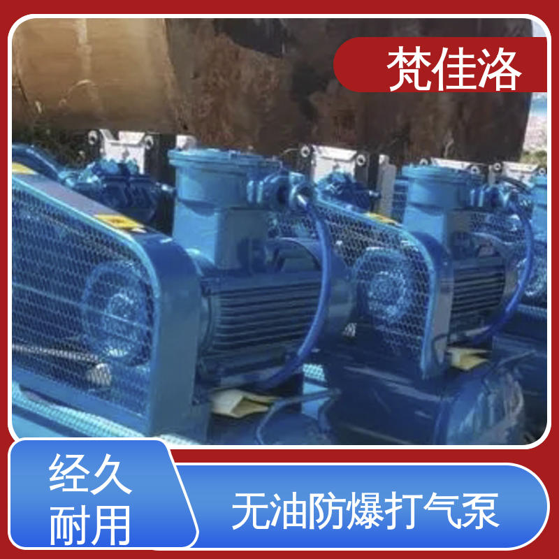 化工厂用ct4/BT4 变频低噪音 无油润滑防爆打气泵 工业带证书