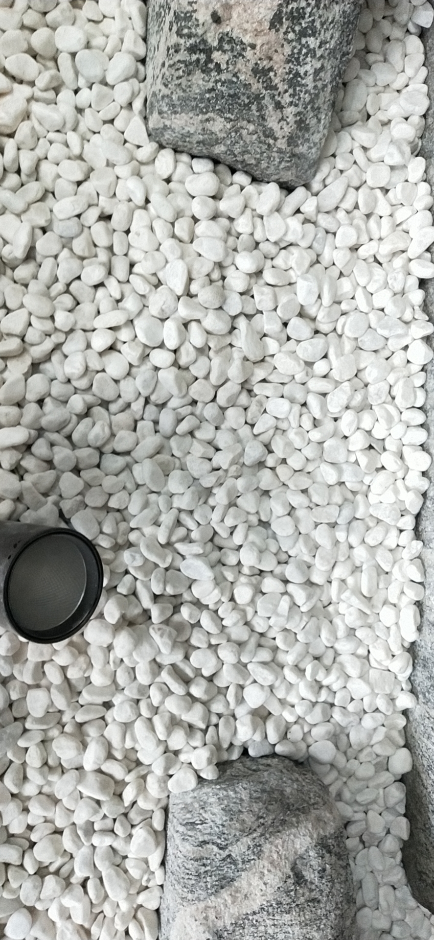 园林景观水洗石 砾石 日式枯山水小石子 方解石 水磨地面