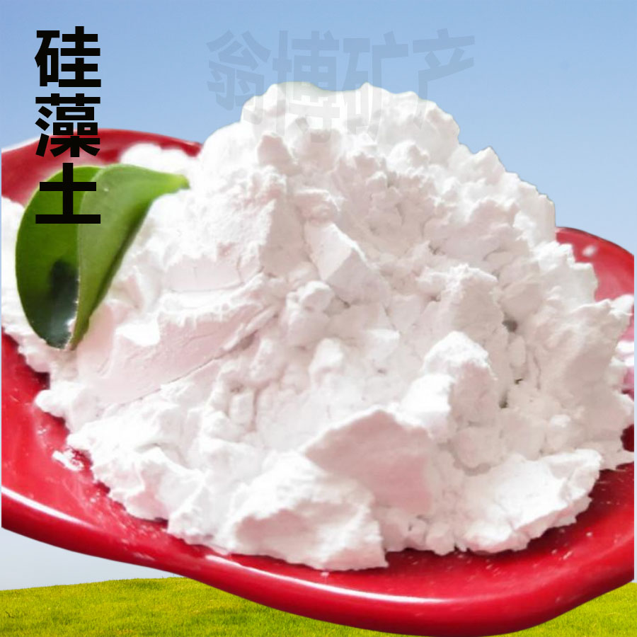 厂家供应100-325目污水处理助滤剂 吸附剂用白色煅烧硅藻土