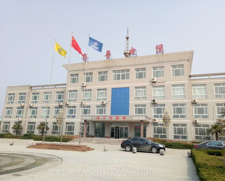 齐鲁电缆煤矿用移动橡套软电缆MY 0.66/0.38KV 1*25齐鲁 国标镀锡铜线