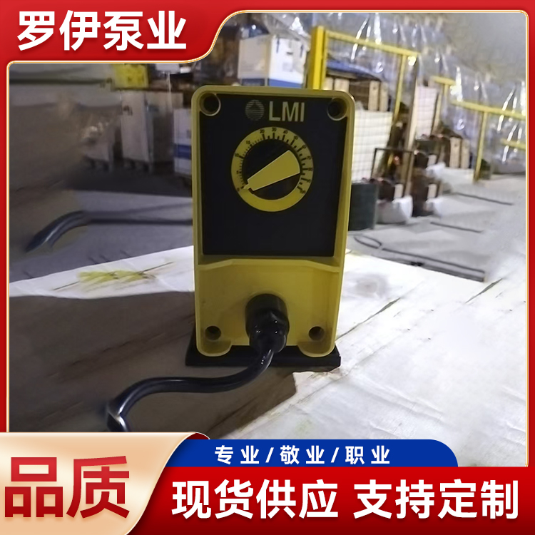 电磁隔膜定量给药泵 水处理药剂投加泵 罗伊泵业