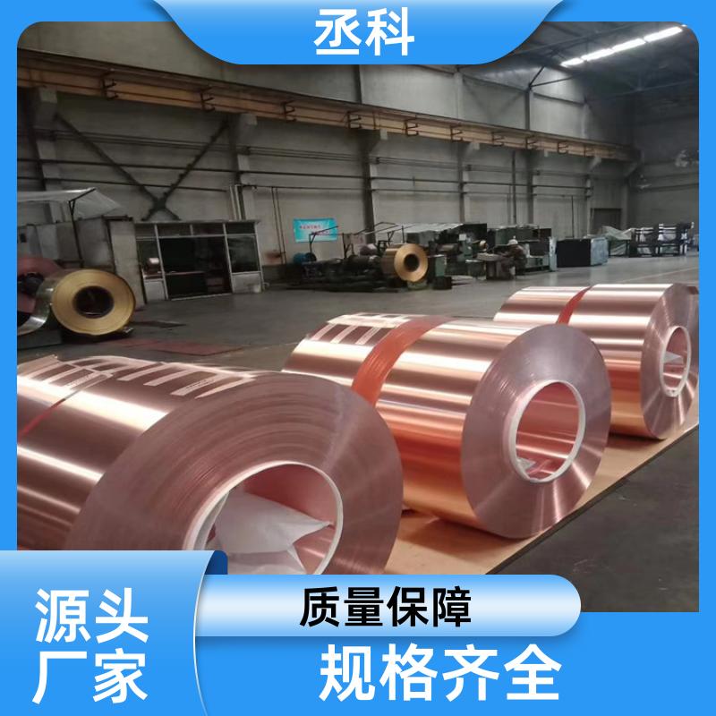 弱电井工程 接地铜带 冲压件 0.3x100 可零售 生产加工