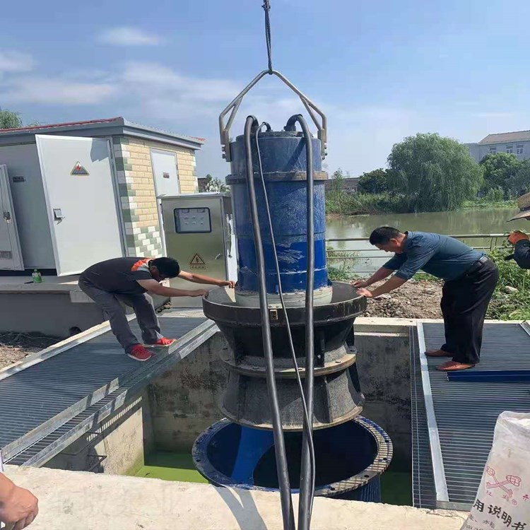 津东 井筒式潜水轴流泵 立式混流泵 防汛泵站配套设备