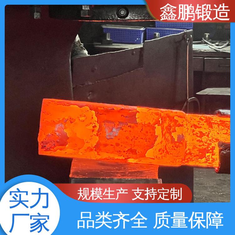 鑫鹏锻造 售后保证 重工 加工成品 平焊法兰锻件