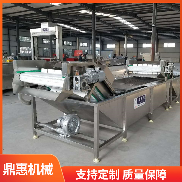 辣椒气泡清洗机 果蔬高压喷淋清洗设备 瓜果清洗流水线 鼎惠