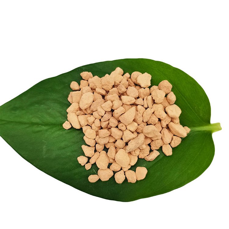 源通供应 硅藻颗粒 园艺种植用 水处利用 硅藻土颗粒可免费取样