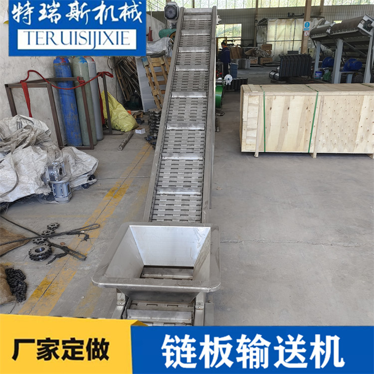 料斗式链板提升机 果蔬清洗不锈钢爬坡板链输送机 特瑞斯定做