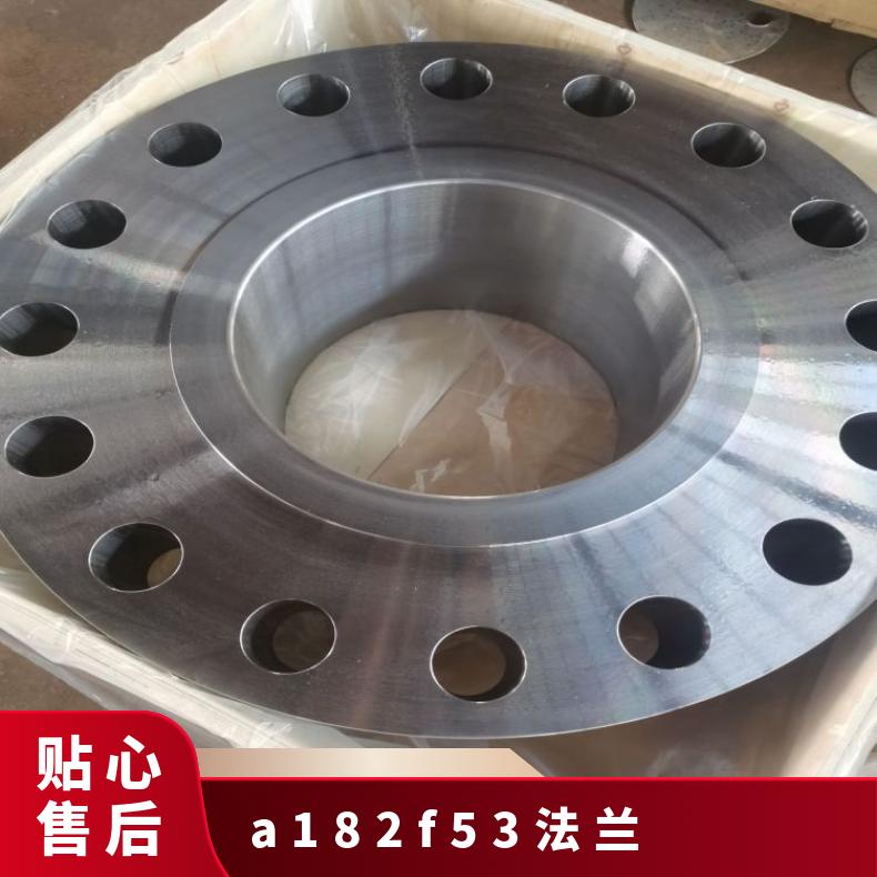 源科ASME B16.47 B系列 A182F53法兰NACE MR0175低硫磷双相钢抗硫锻件