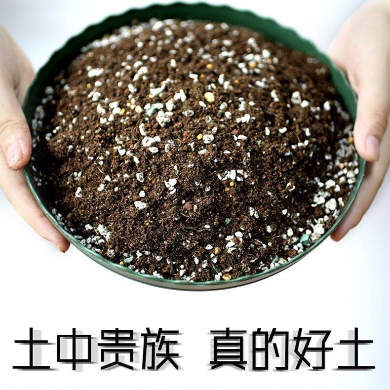 营养土 育苗栽培基质 绿化种植 多肉颗粒土 虹彩石花卉蛭石珍珠岩